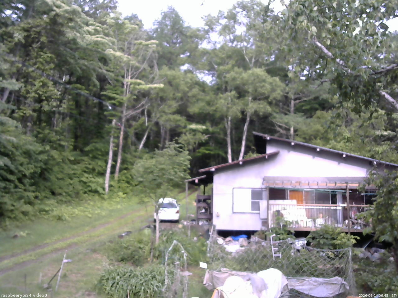 長野県菅平高原 ゆたか山荘 西側(坂上) 2026/06/14 06:45