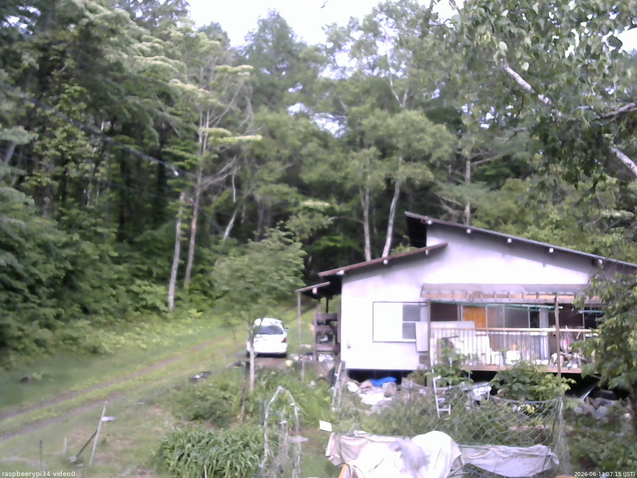 長野県菅平高原 ゆたか山荘 西側(坂上) 2026/06/14 07:15