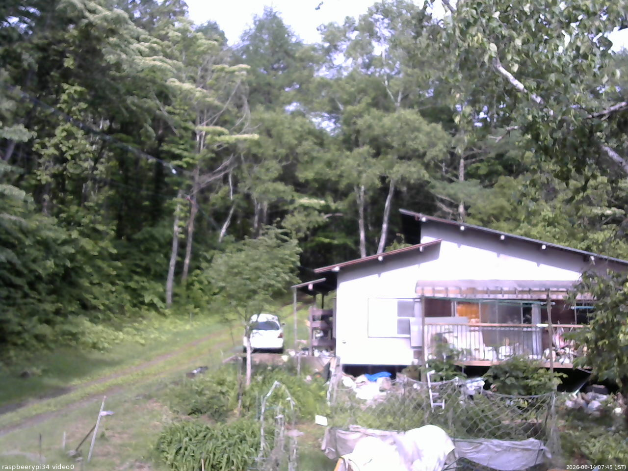 長野県菅平高原 ゆたか山荘 西側(坂上) 2026/06/14 07:45