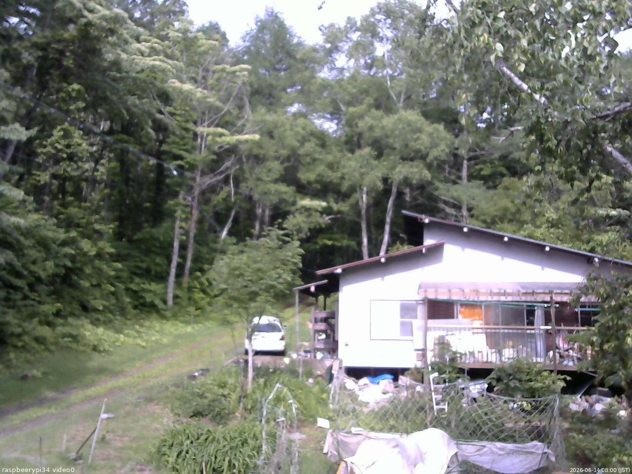 長野県菅平高原 ゆたか山荘 西側(坂上) 2026/06/14 08:00