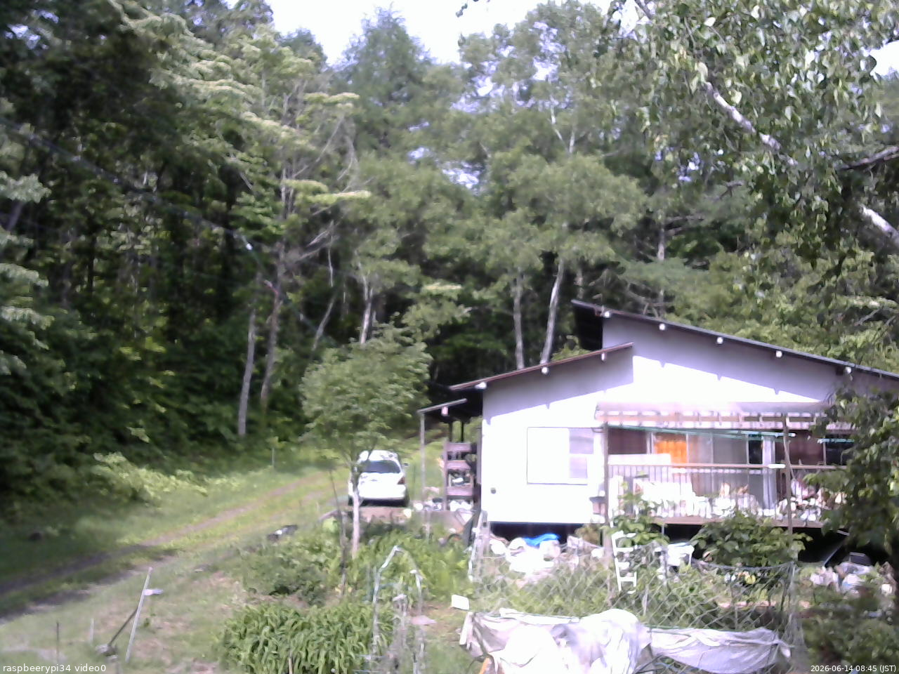 長野県菅平高原 ゆたか山荘 西側(坂上) 2026/06/14 08:45