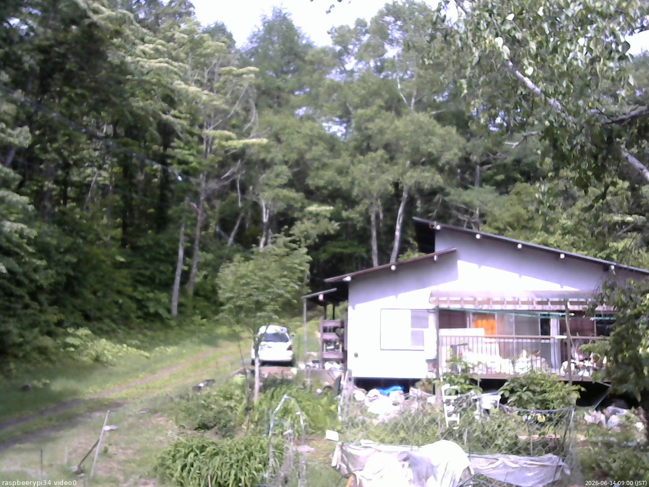 長野県菅平高原 ゆたか山荘 西側(坂上) 2026/06/14 09:00