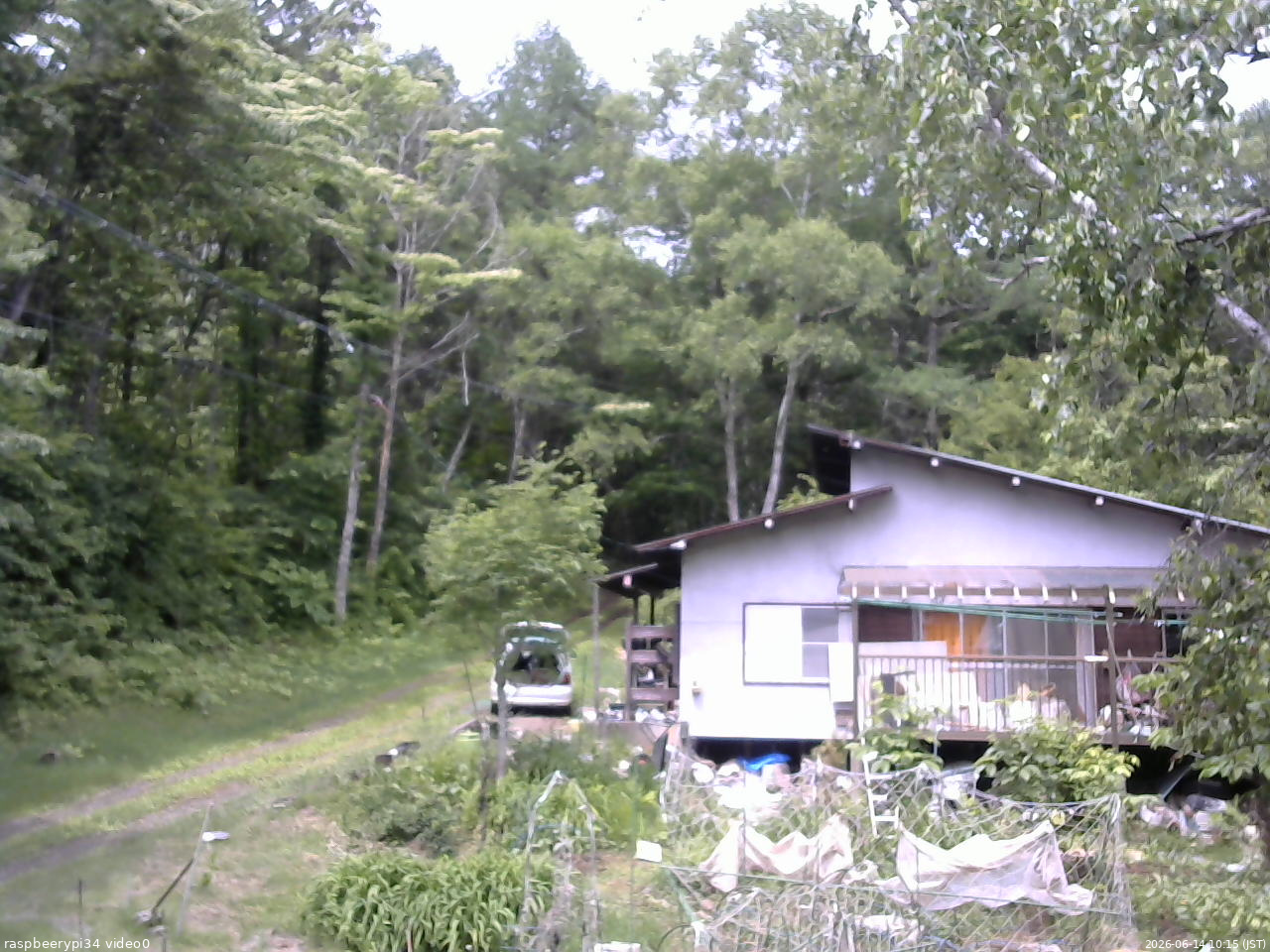 長野県菅平高原 ゆたか山荘 西側(坂上) 2026/06/14 10:15