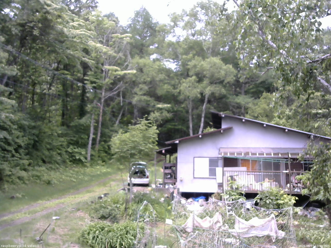 長野県菅平高原 ゆたか山荘 西側(坂上) 2026/06/14 10:45