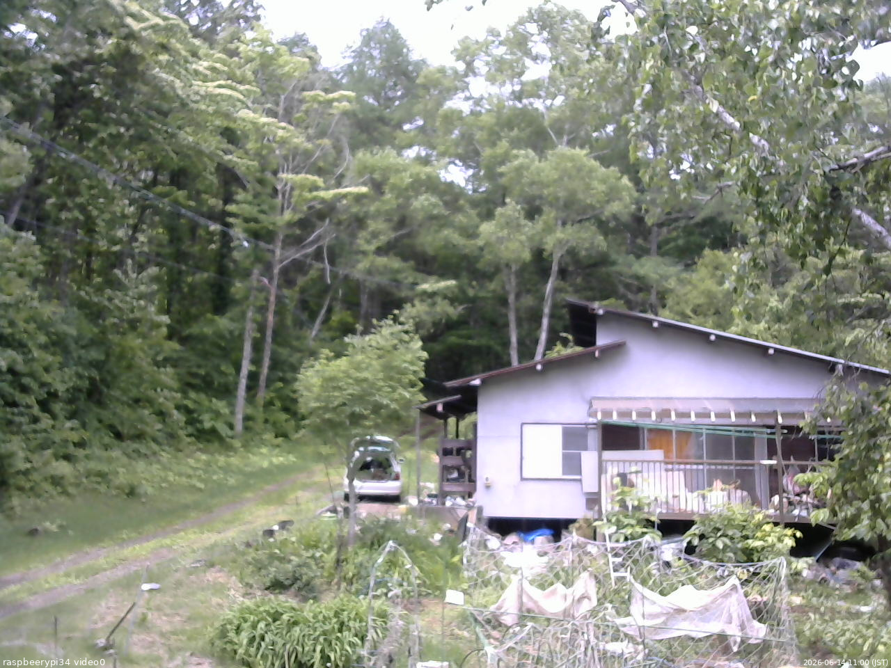 長野県菅平高原 ゆたか山荘 西側(坂上) 2026/06/14 11:00