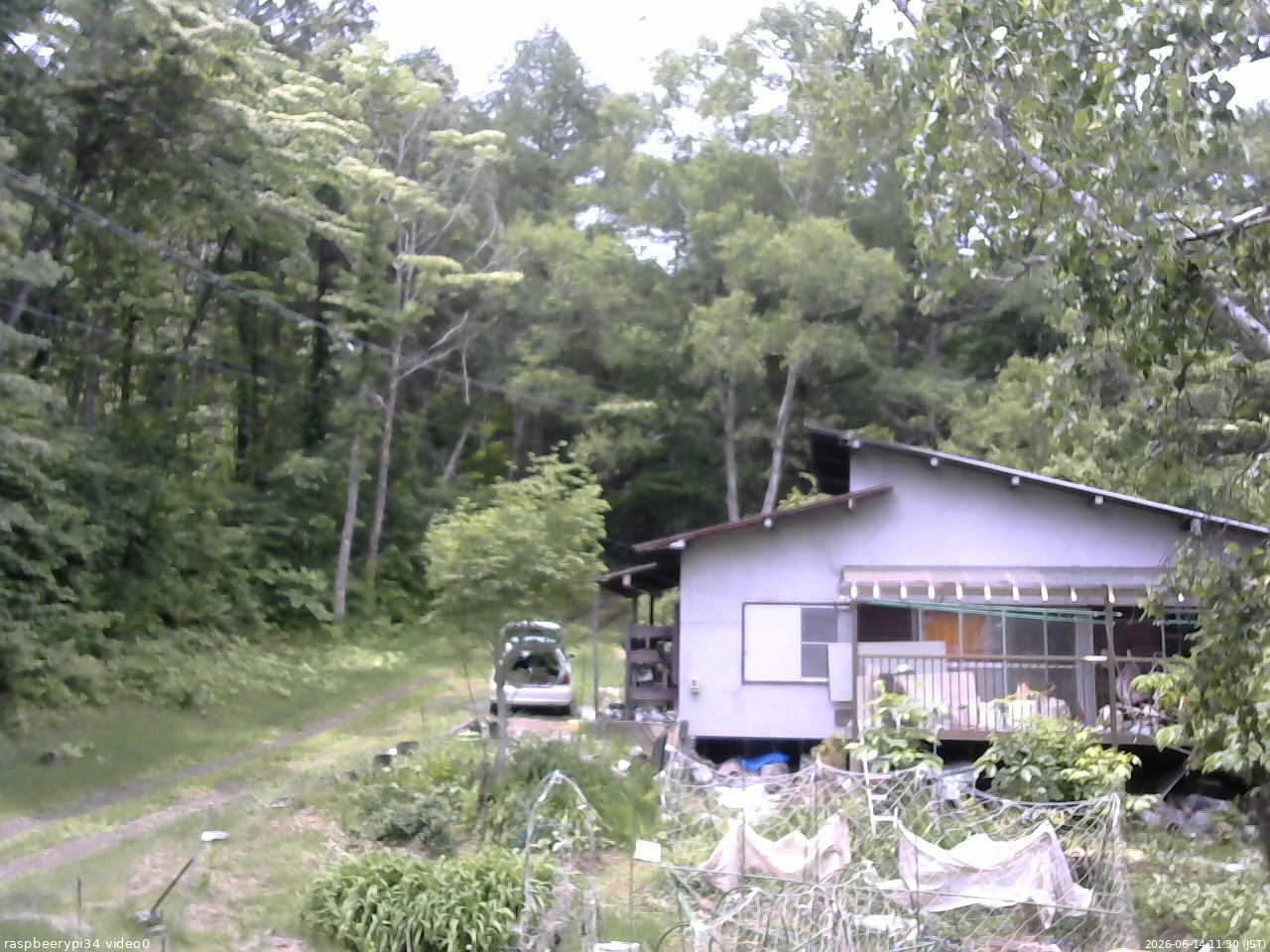 長野県菅平高原 ゆたか山荘 西側(坂上) 2026/06/14 11:30