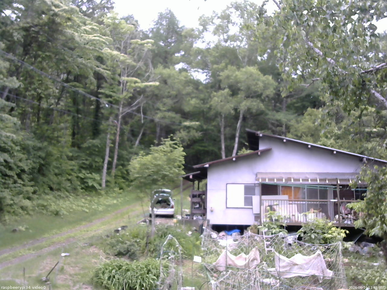 長野県菅平高原 ゆたか山荘 西側(坂上) 2026/06/14 11:45