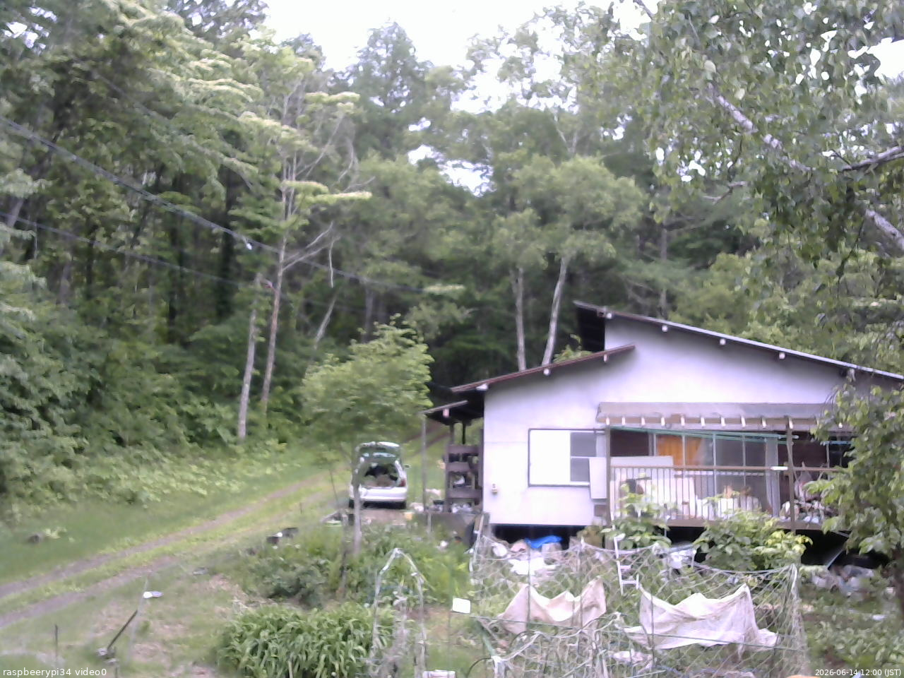 長野県菅平高原 ゆたか山荘 西側(坂上) 2026/06/14 12:00