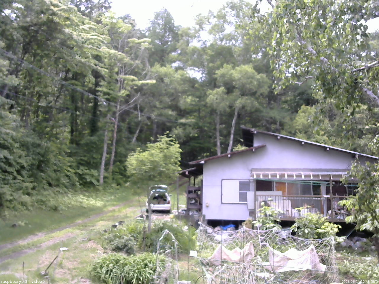 長野県菅平高原 ゆたか山荘 西側(坂上) 2026/06/14 12:45