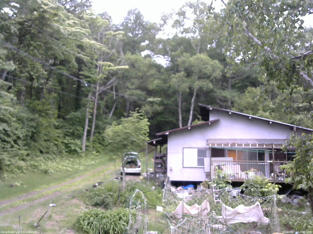 長野県菅平高原 ゆたか山荘 西側(坂上) 2026/06/14 13:00