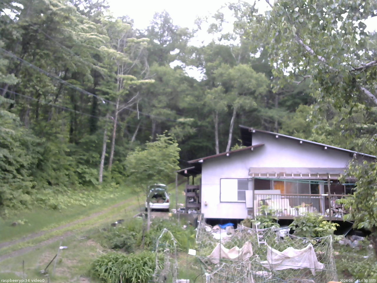 長野県菅平高原 ゆたか山荘 西側(坂上) 2026/06/14 14:30