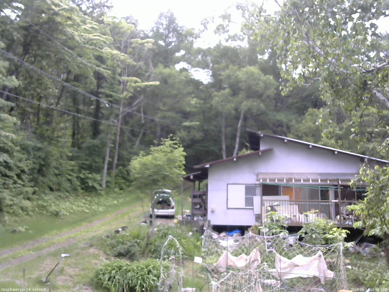 長野県菅平高原 ゆたか山荘 西側(坂上) 2026/06/14 16:00