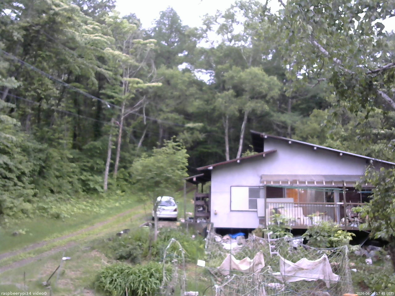 長野県菅平高原 ゆたか山荘 西側(坂上) 2026/06/14 17:45