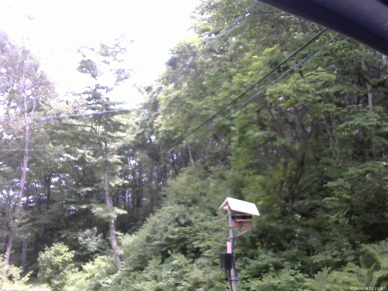 長野県菅平高原 ゆたか山荘 温度計 2026/06/14 12:15