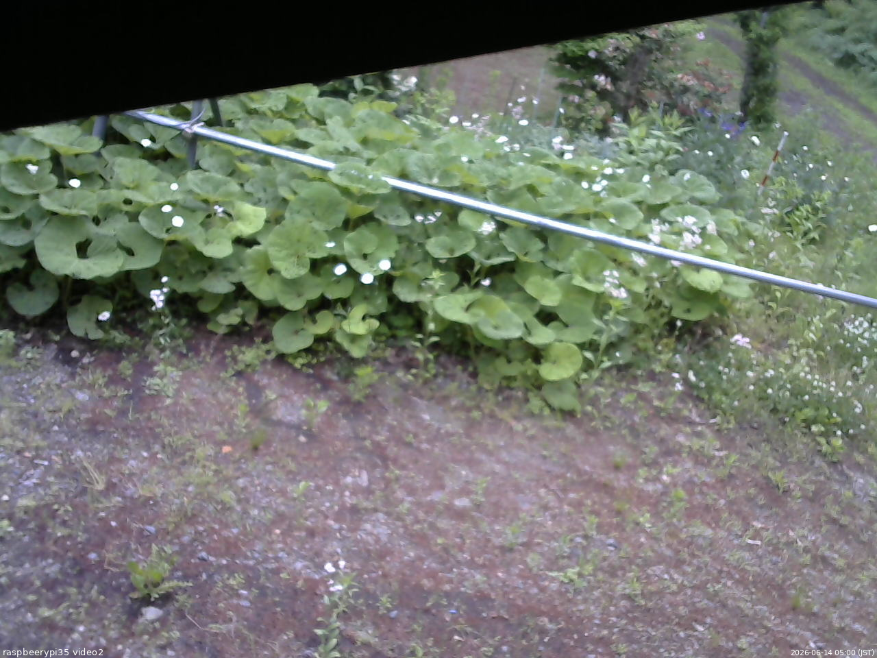 長野県菅平高原 ゆたか山荘 駐車場 2026/06/14 05:00