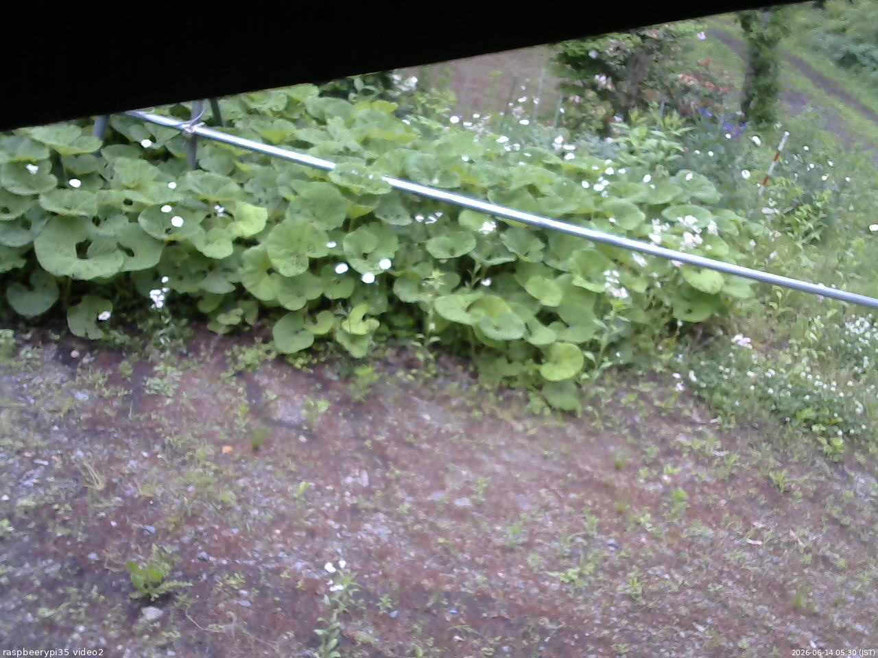 長野県菅平高原 ゆたか山荘 駐車場 2026/06/14 05:30