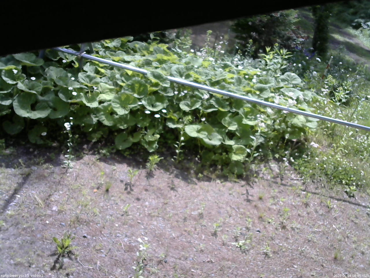 長野県菅平高原 ゆたか山荘 駐車場 2026/06/14 08:45