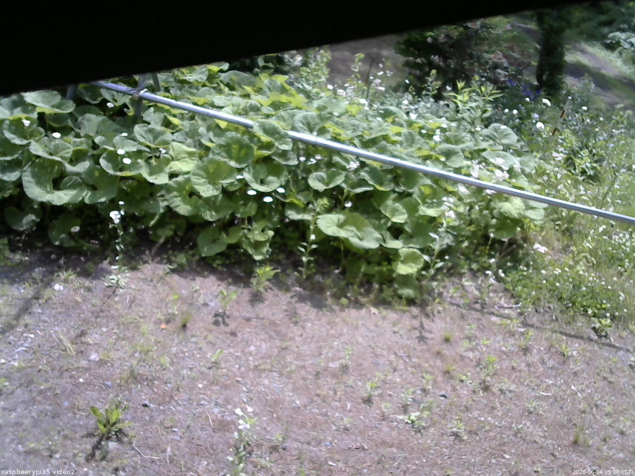 長野県菅平高原 ゆたか山荘 駐車場 2026/06/14 09:00
