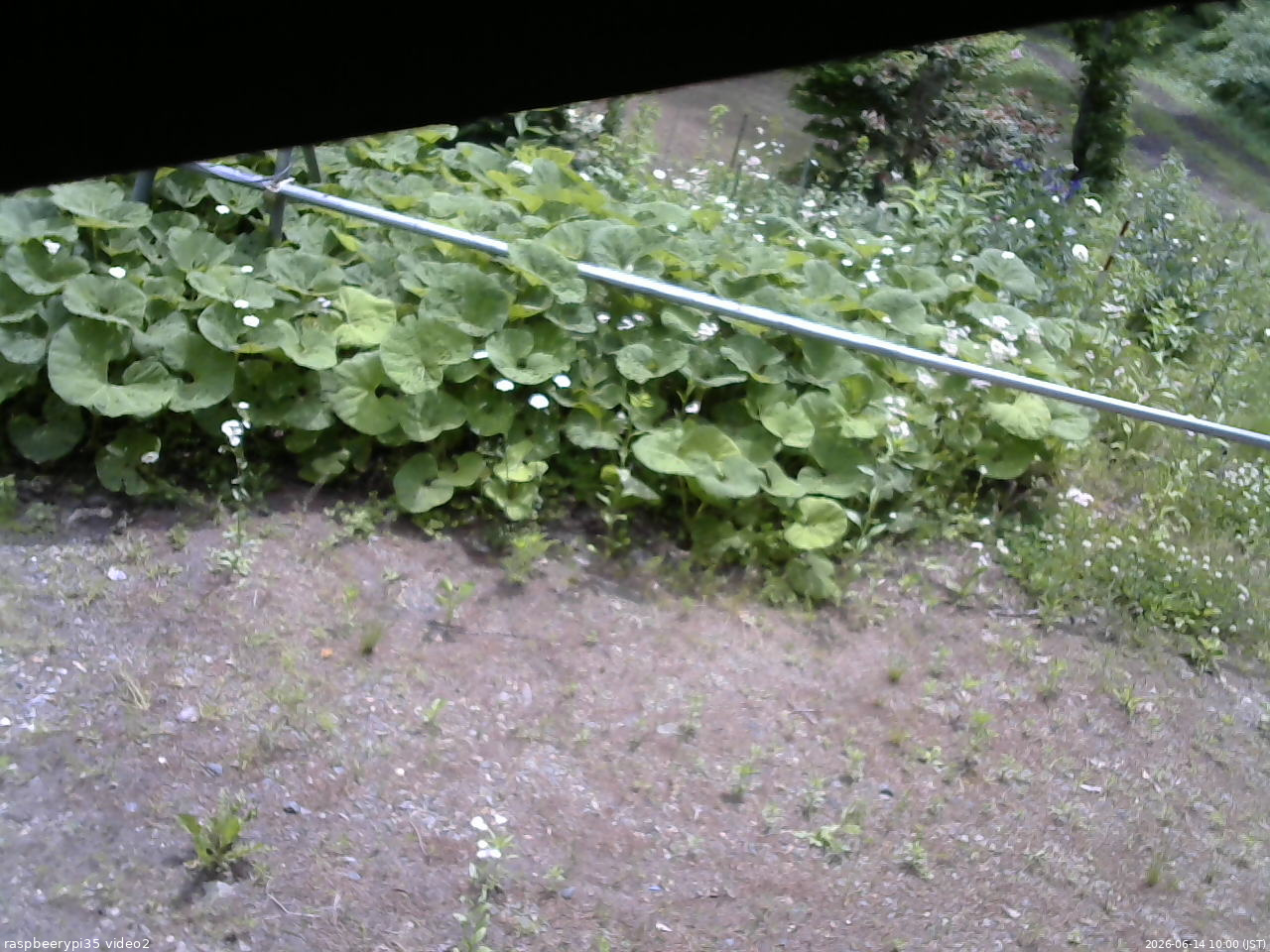 長野県菅平高原 ゆたか山荘 駐車場 2026/06/14 10:00