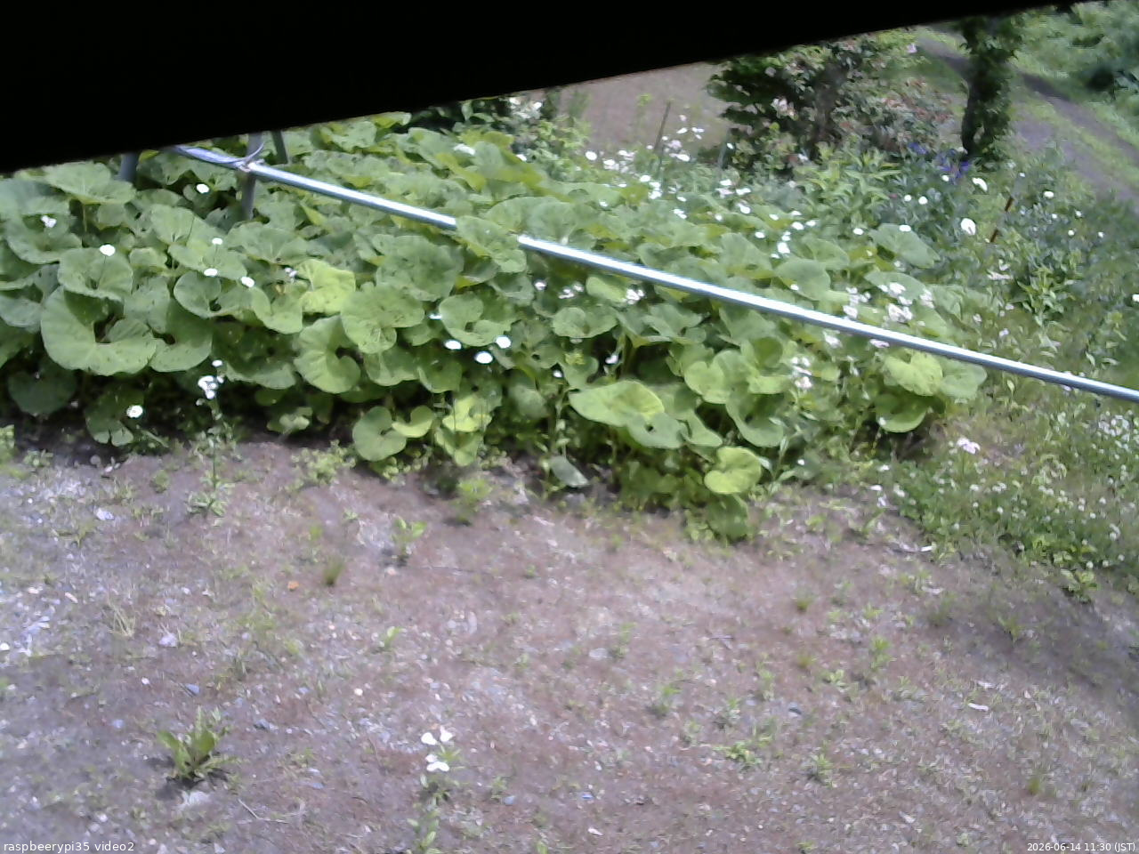 長野県菅平高原 ゆたか山荘 駐車場 2026/06/14 11:30