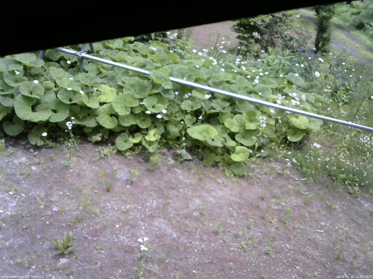 長野県菅平高原 ゆたか山荘 駐車場 2026/06/14 11:45