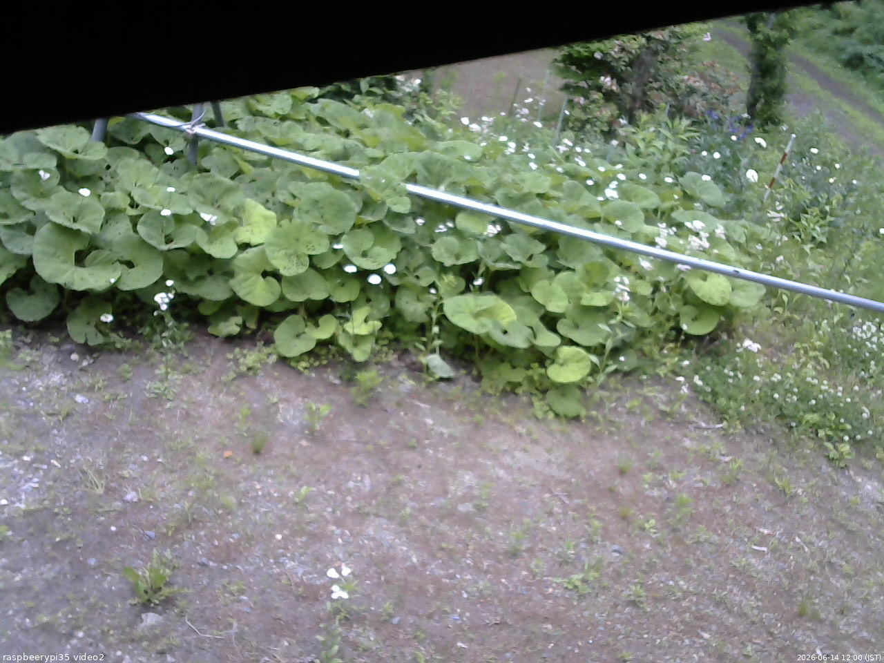 長野県菅平高原 ゆたか山荘 駐車場 2026/06/14 12:00