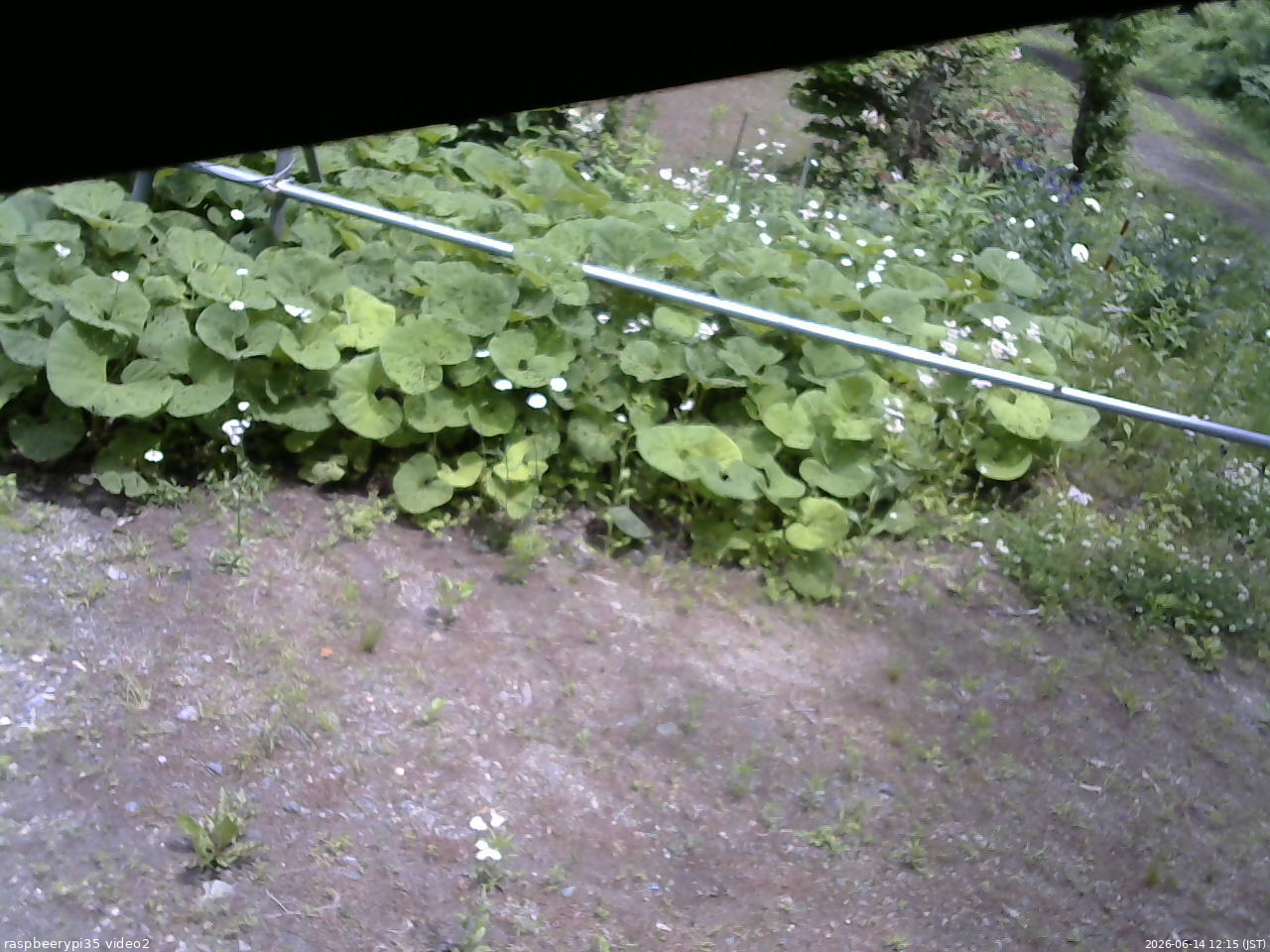長野県菅平高原 ゆたか山荘 駐車場 2026/06/14 12:15