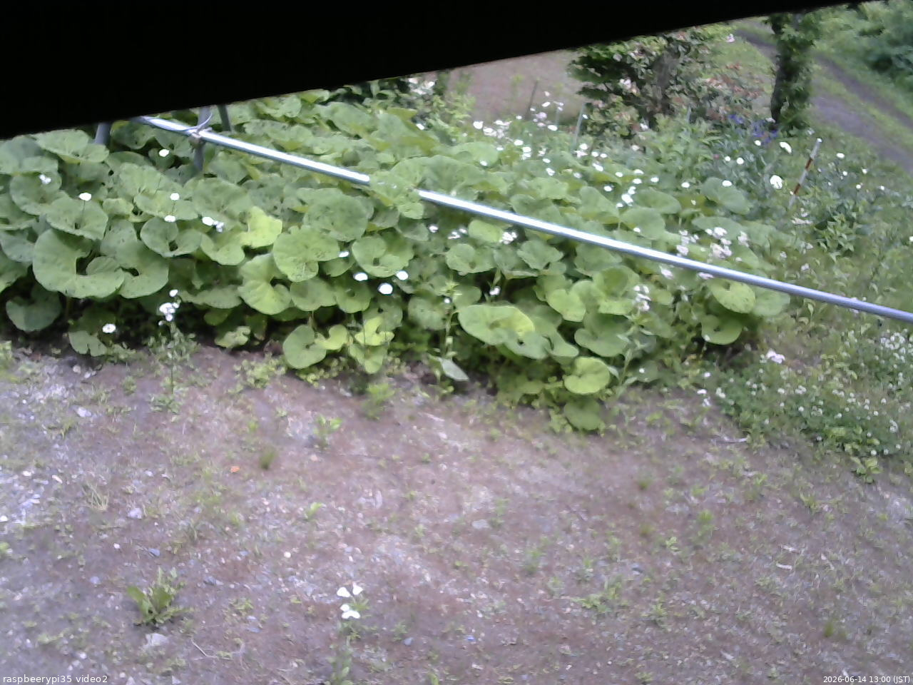 長野県菅平高原 ゆたか山荘 駐車場 2026/06/14 13:00