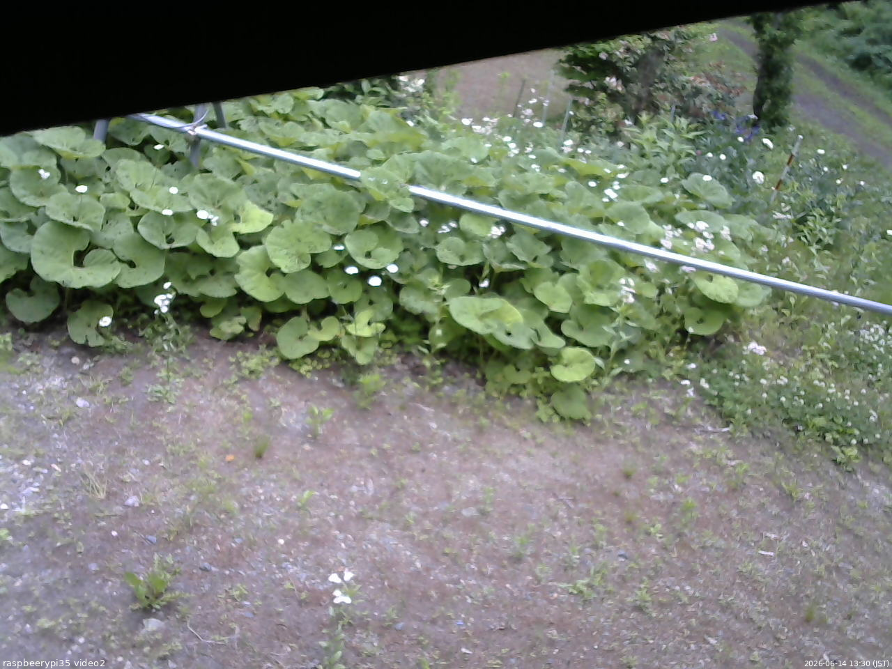 長野県菅平高原 ゆたか山荘 駐車場 2026/06/14 13:30