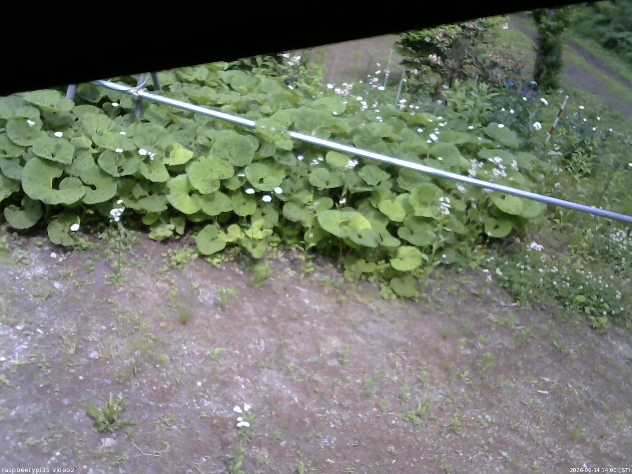 長野県菅平高原 ゆたか山荘 駐車場 2026/06/14 14:00