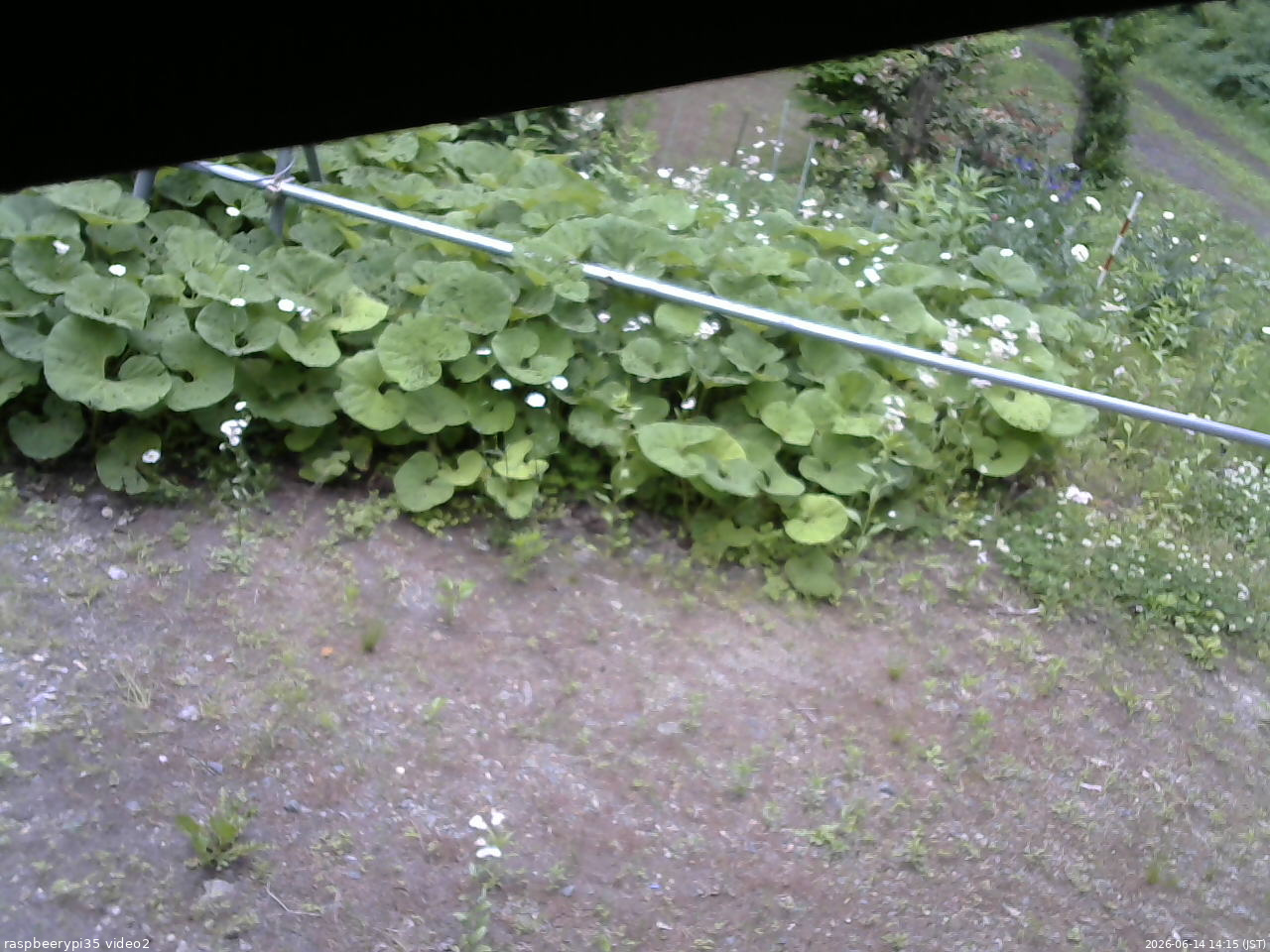 長野県菅平高原 ゆたか山荘 駐車場 2026/06/14 14:15