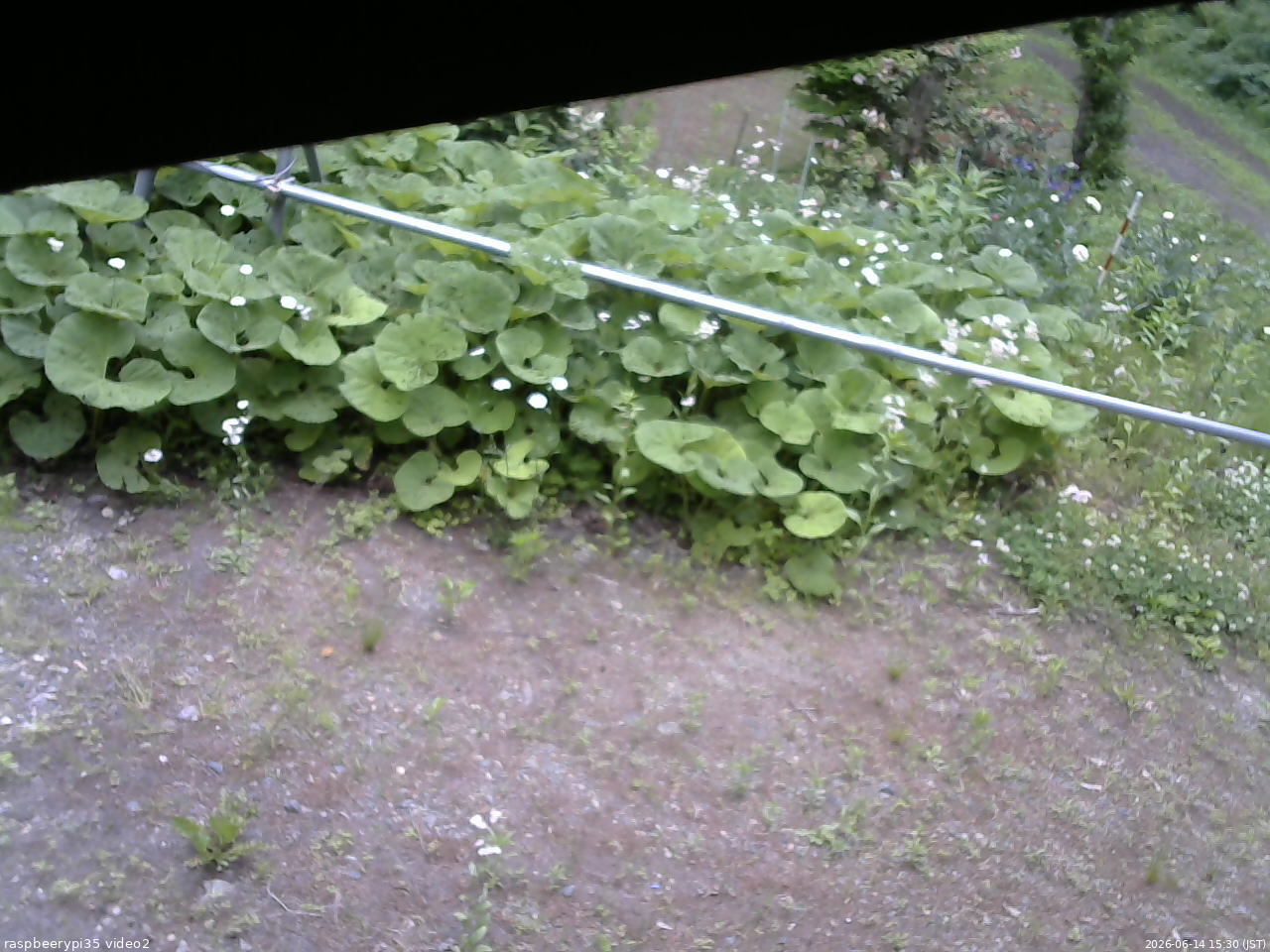 長野県菅平高原 ゆたか山荘 駐車場 2026/06/14 15:30