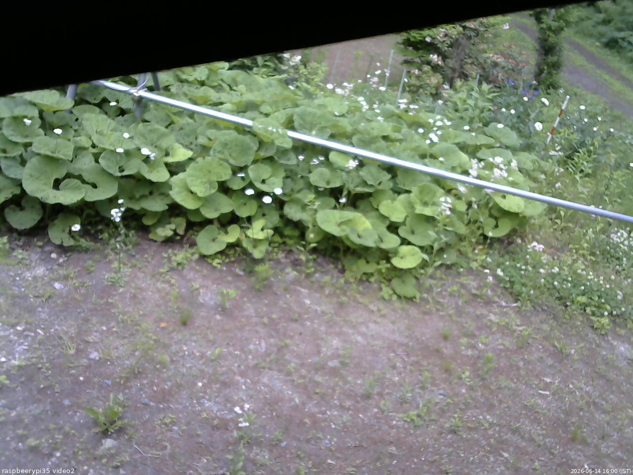 長野県菅平高原 ゆたか山荘 駐車場 2026/06/14 16:00
