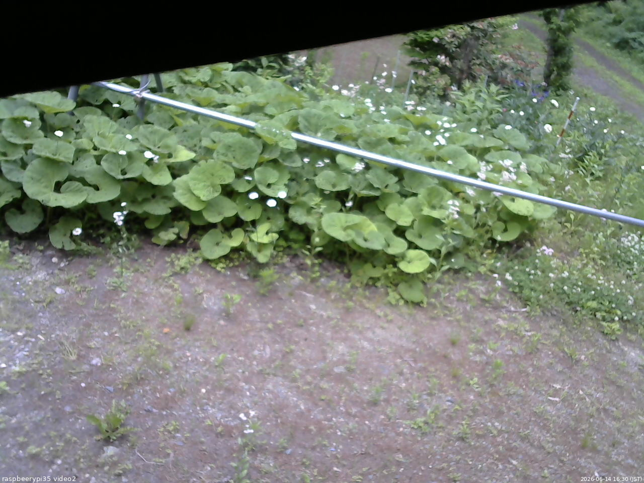 長野県菅平高原 ゆたか山荘 駐車場 2026/06/14 16:30