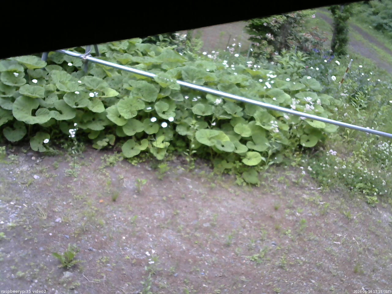 長野県菅平高原 ゆたか山荘 駐車場 2026/06/14 17:15