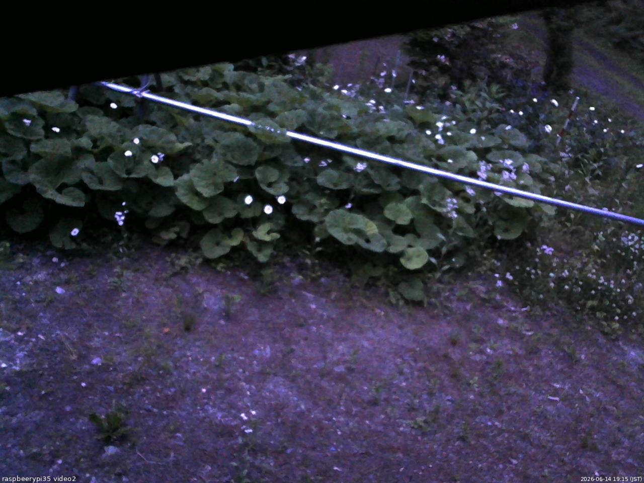長野県菅平高原 ゆたか山荘 駐車場 2026/06/14 19:15