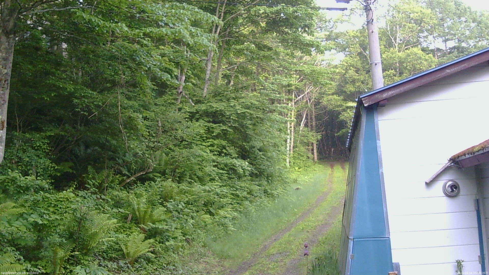 長野県菅平高原 ゆたか山荘 ゆたか山荘 2026/06/14 05:00