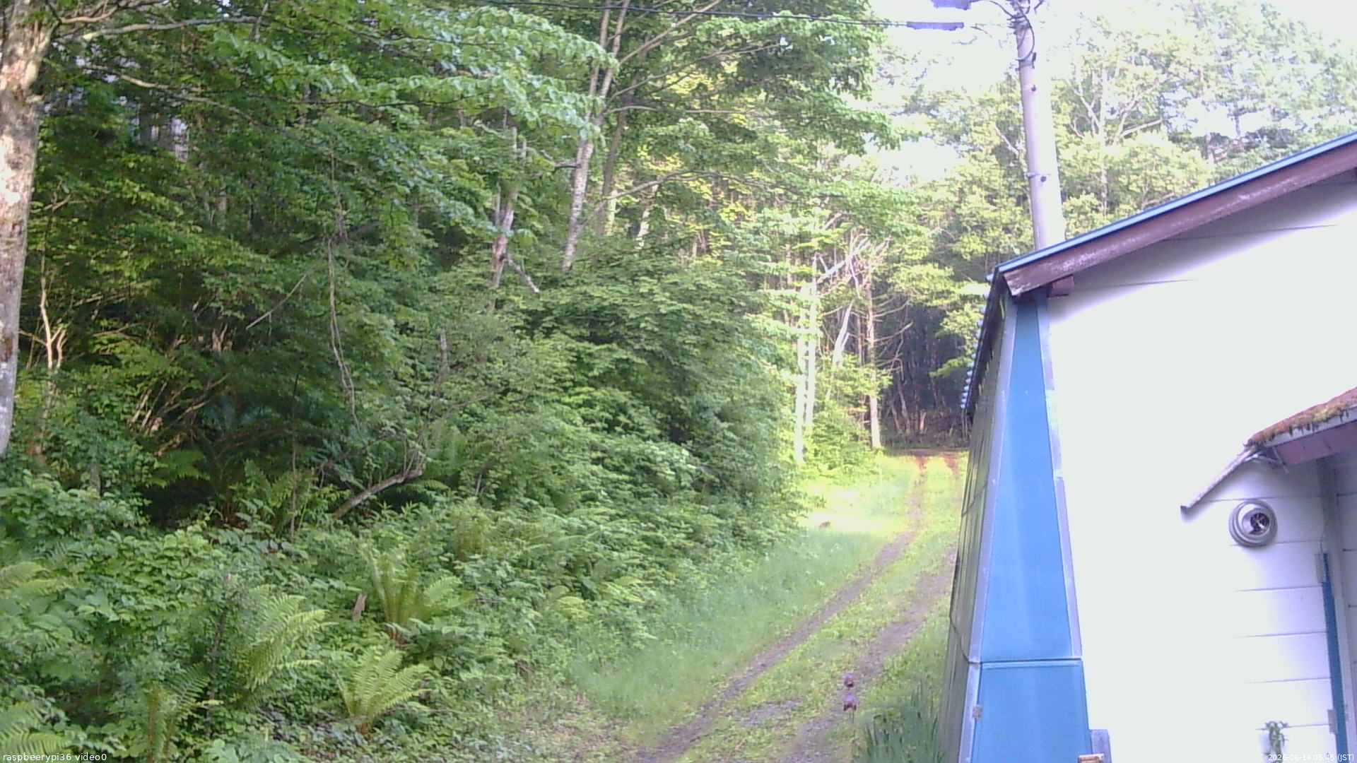 長野県菅平高原 ゆたか山荘 ゆたか山荘 2026/06/14 05:45