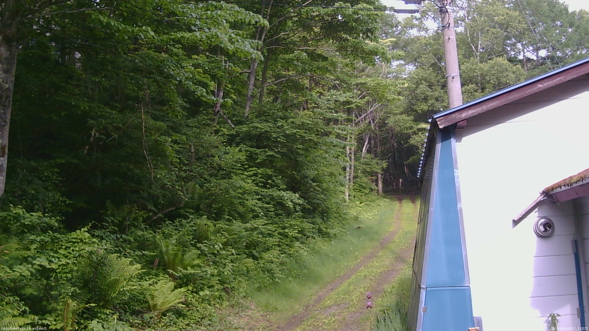 長野県菅平高原 ゆたか山荘 ゆたか山荘 2026/06/14 07:15
