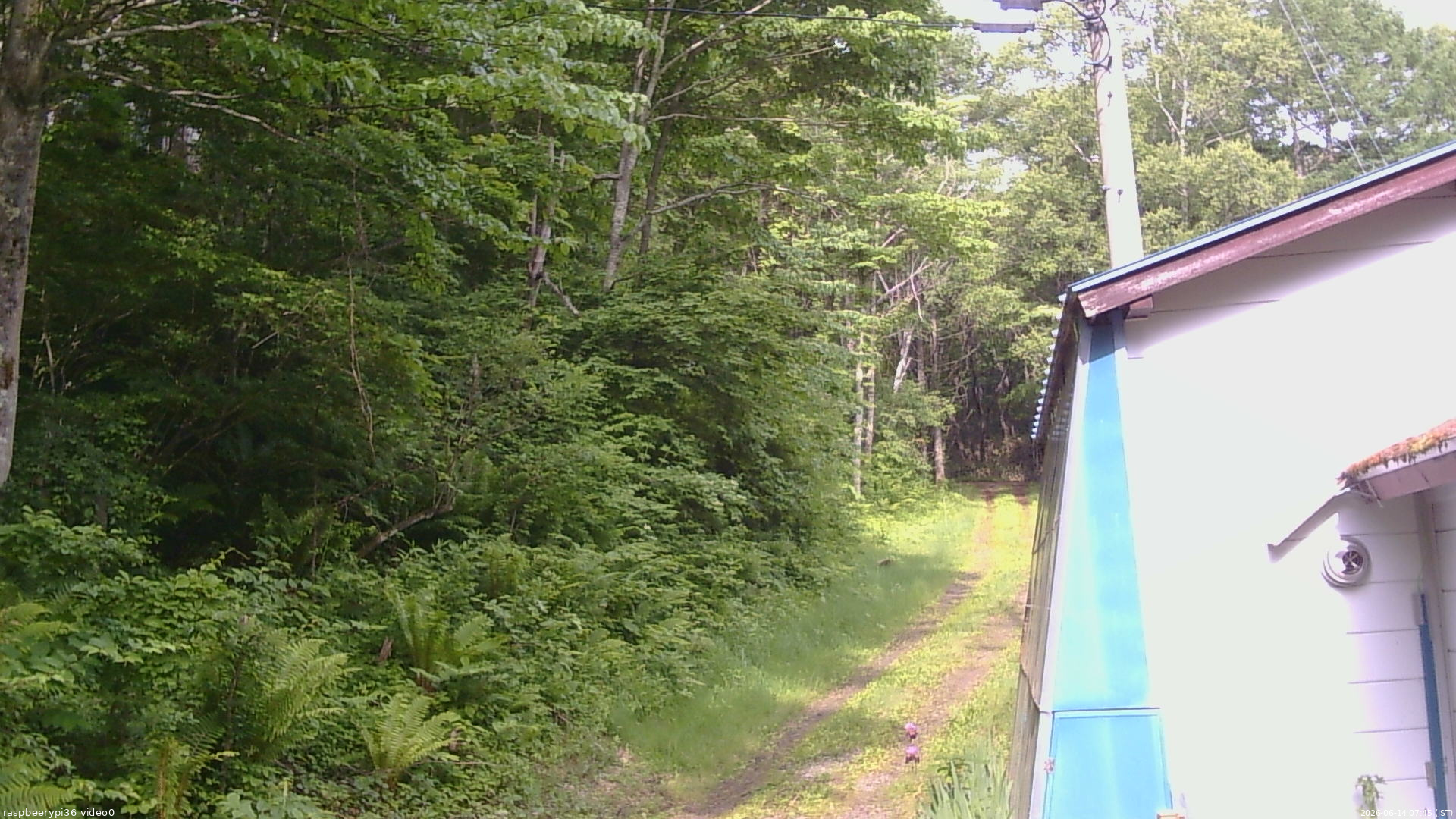 長野県菅平高原 ゆたか山荘 ゆたか山荘 2026/06/14 07:45