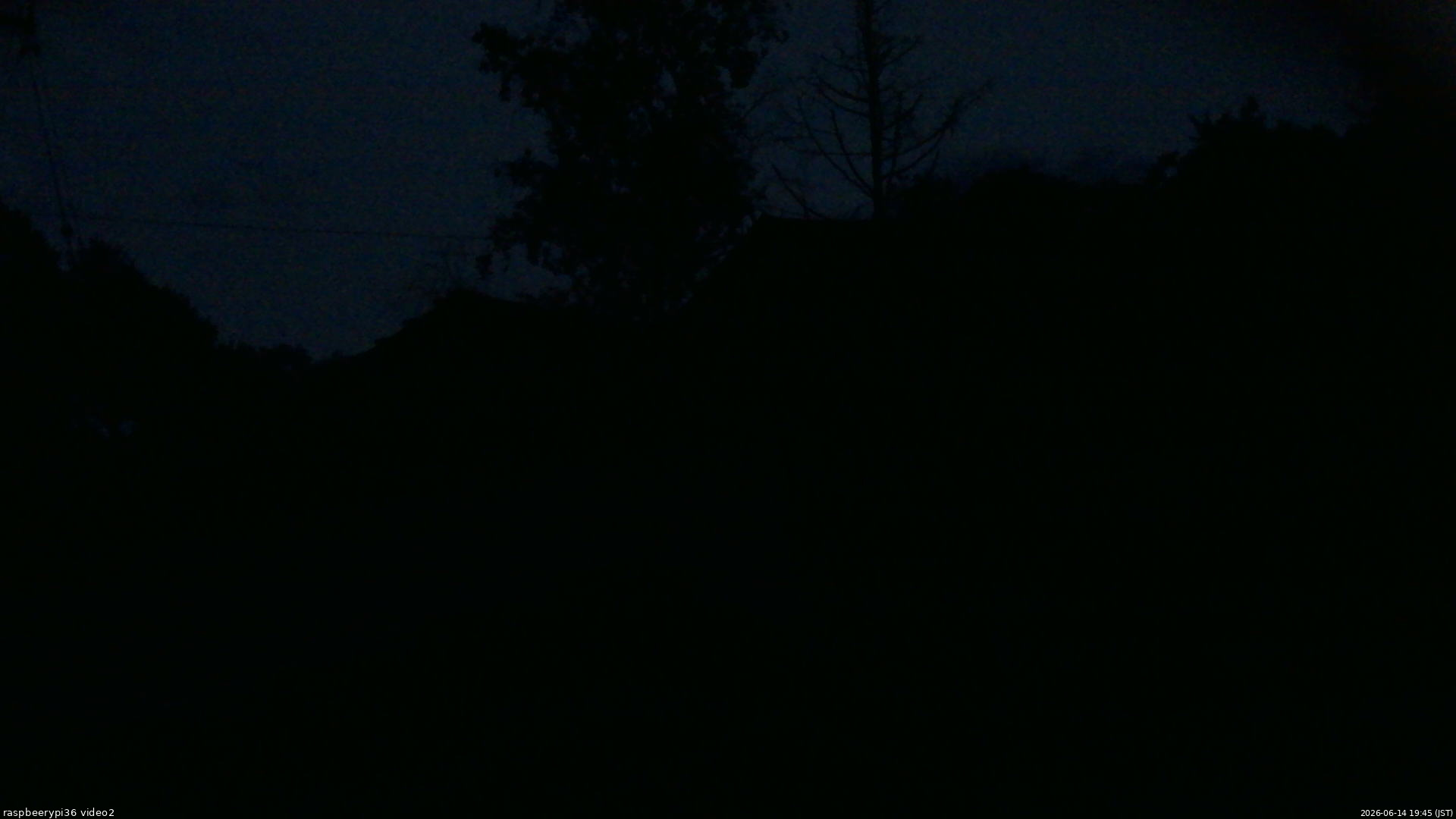 長野県菅平高原 ゆたか山荘 駐車場奥 2026/06/14 19:45