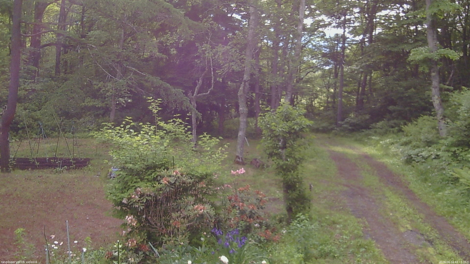 長野県菅平高原 ゆたか山荘 坂上 2026/06/14 07:15