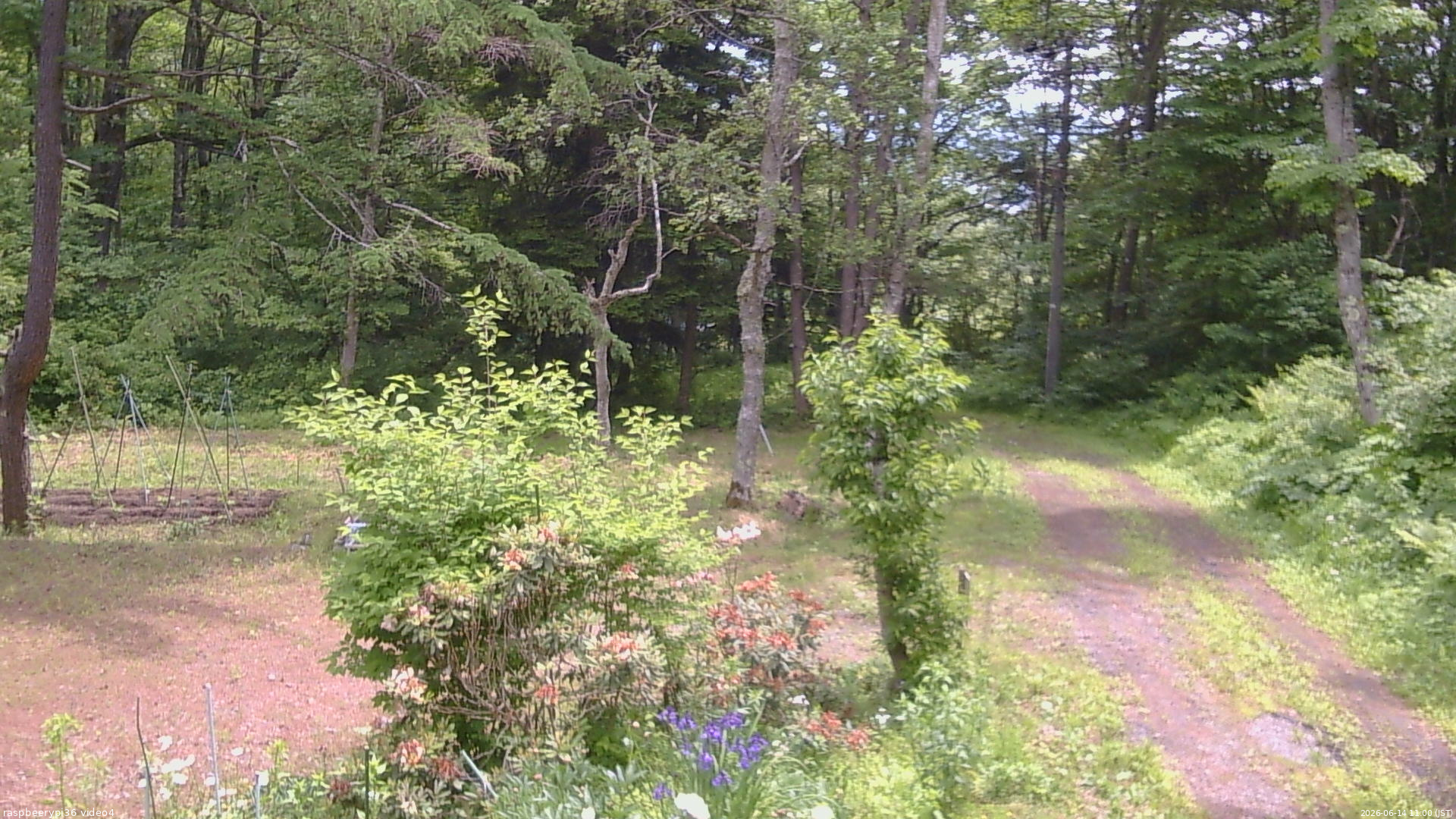 長野県菅平高原 ゆたか山荘 坂上 2026/06/14 11:00