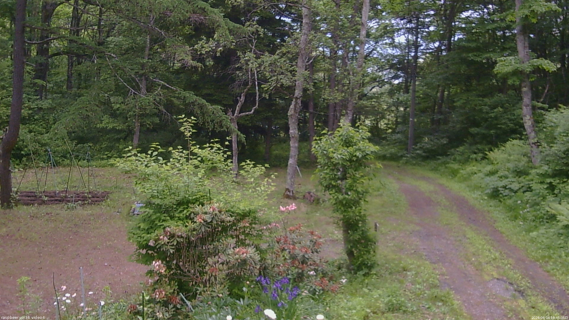 長野県菅平高原 ゆたか山荘 坂上 2026/06/14 13:45