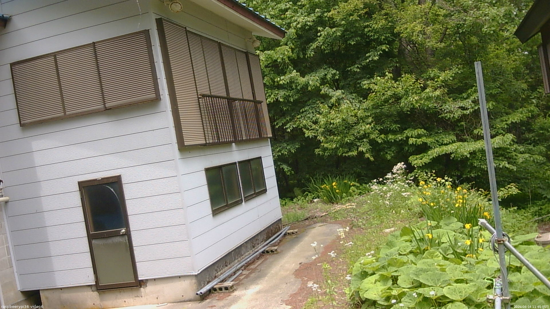 長野県菅平高原 ゆたか山荘 坂下 2026/06/14 11:45