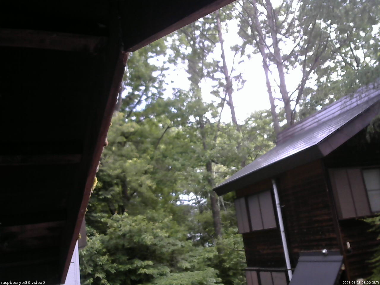 長野県菅平高原 ゆたか山荘 北側 2026/06/15 08:00