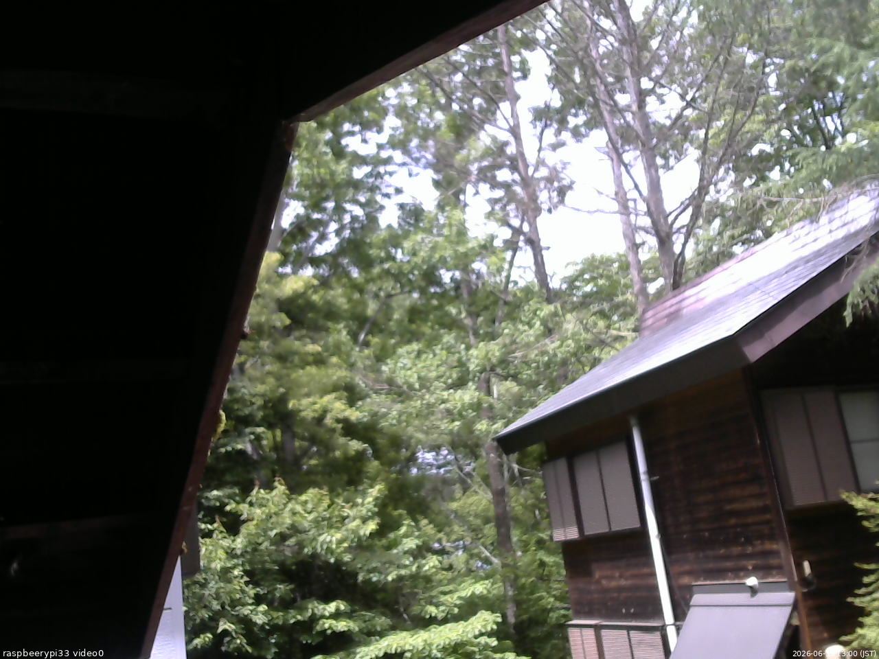 長野県菅平高原 ゆたか山荘 北側 2026/06/15 13:00