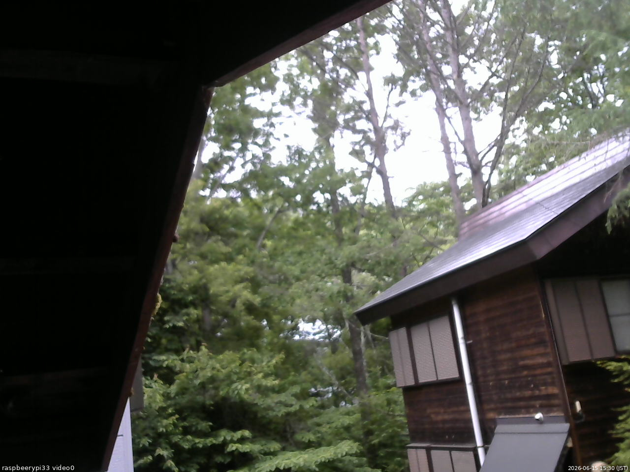 長野県菅平高原 ゆたか山荘 北側 2026/06/15 15:30