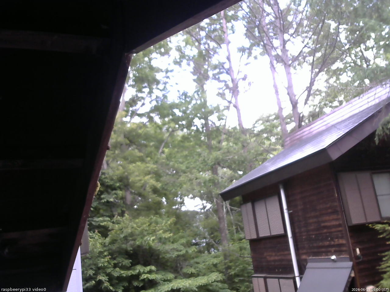長野県菅平高原 ゆたか山荘 北側 2026/06/15 16:00