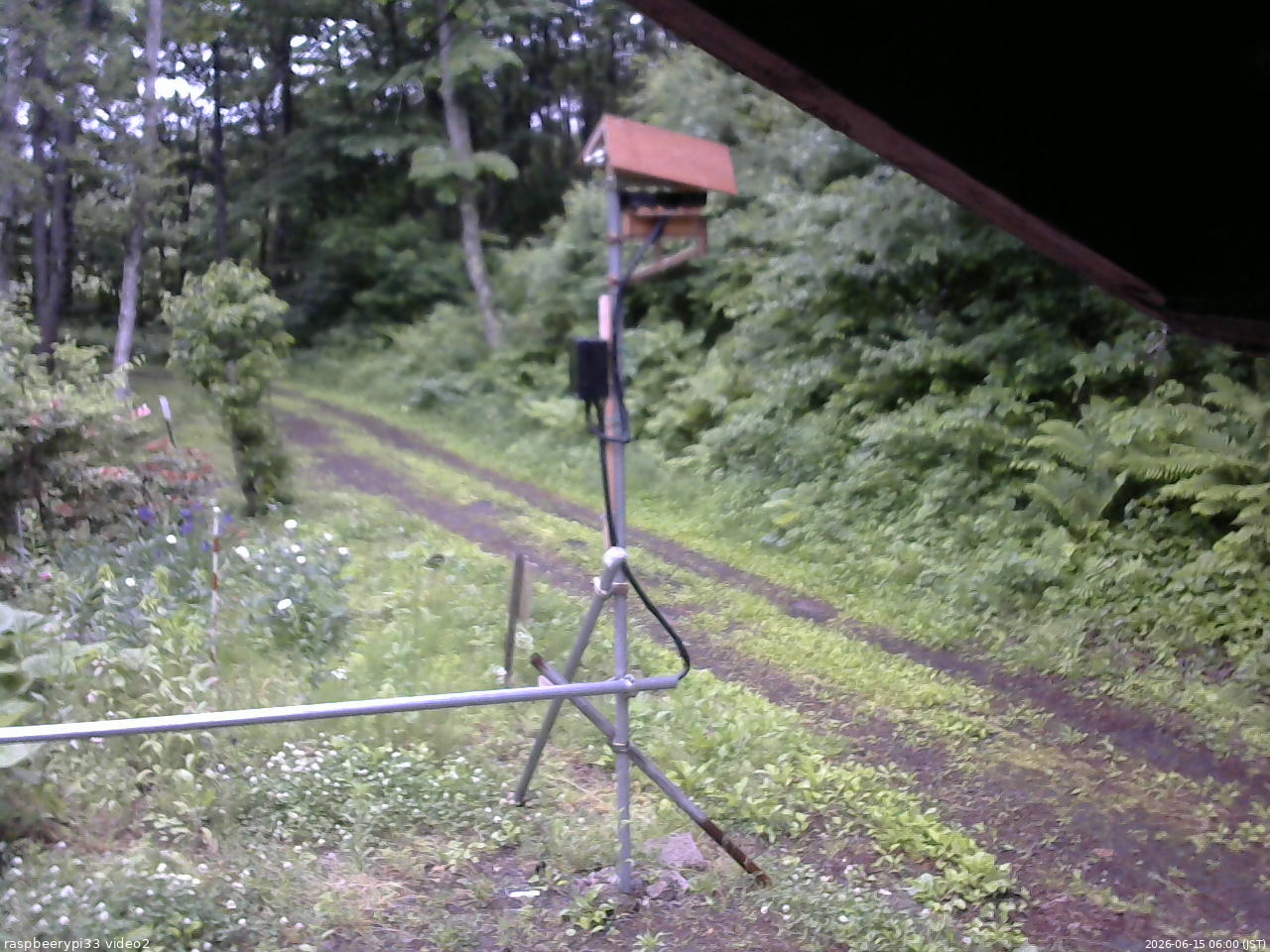 長野県菅平高原 ゆたか山荘 南側 2026/06/15 06:00